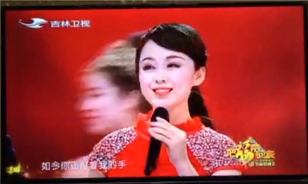 歌唱演员肖文莉——明星资料库